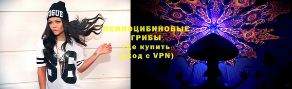 ПСИЛОЦИБИНОВЫЕ ГРИБЫ Верхнеуральск