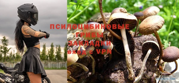 дурь Вязники