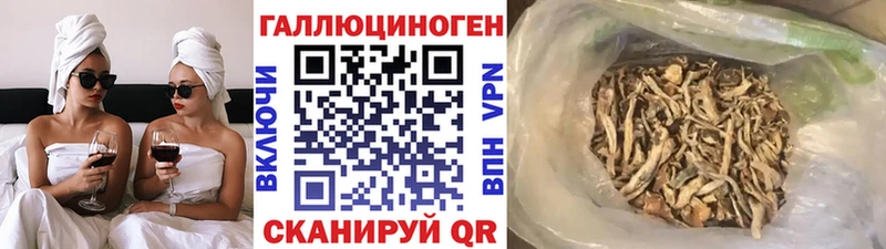 Псилоцибиновые грибы GOLDEN TEACHER Иланский