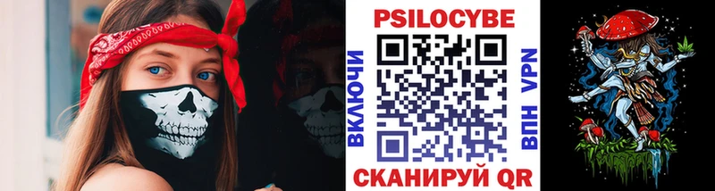 закладка Иланский дарк нет состав Псилоцибиновые грибы Magic Shrooms